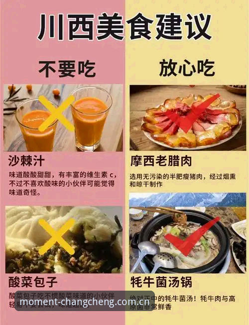 最新此刻正在看CN体育入口 尼克斯休赛期替代方案深度评测:六名候选人的技术特点与避坑指南