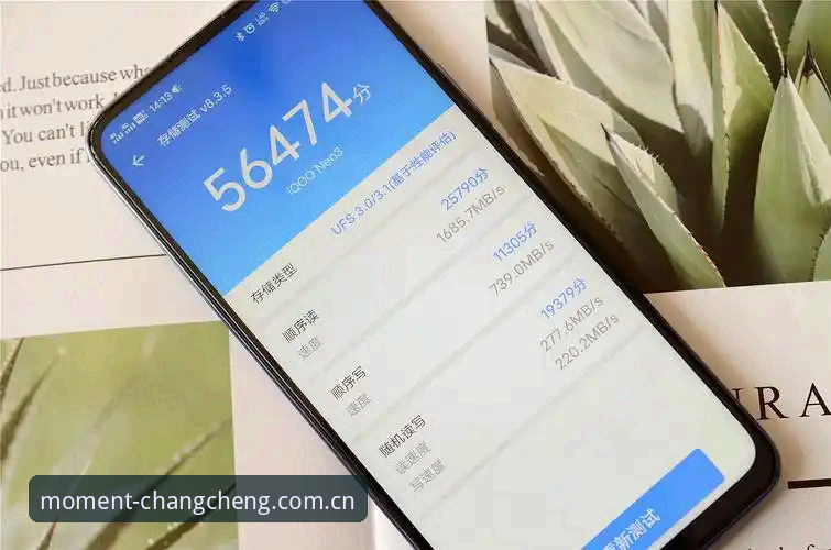 此刻正在看zhibo数据靠谱吗？一个体育重度用户的真实使用体验